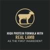 imagePurina Pro Plan Sensitive Skin and Stomach Cat Food Lamb and Rice Formula  22 lb BagLamb  Rice