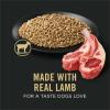 imagePurina Pro Plan Sensitive Skin and Stomach Dog Food Dry Adult Salmon ampamp Rice Formula Digestive Health  16 lb BagLamb  Oatmeal