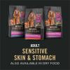 imagePurina Pro Plan Sensitive Skin and Stomach Dog Food Dry Adult Salmon ampamp Rice Formula Digestive Health  16 lb BagLamb  Oatmeal