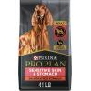 imagePurina Pro Plan Sensitive Skin and Stomach Dog Food Dry Adult Salmon ampamp Rice Formula Digestive Health  16 lb BagSalmon  Rice