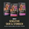 imagePurina Pro Plan Sensitive Skin and Stomach Dog Food Dry Adult Salmon ampamp Rice Formula Digestive Health  16 lb BagTurkey