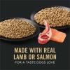 imagePurina Pro Plan Sensitive Skin and Stomach Dog Food Dry Adult Salmon ampamp Rice Formula Digestive Health  16 lb BagVariety