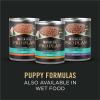 imagePurina Pro Plan Sensitive Skin and Stomach Dog Food Puppy Salmon and Rice Formula  16 Lb BagLamb  Oat