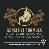 imagePurina Pro Plan Sensitive Skin and Stomach Dog Food Puppy Salmon and Rice Formula  16 Lb BagSalmon  Rice