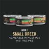 imagePurina Pro Plan Small Breed 7 Plus Shredded Blend Chicken and Rice Formula Senior Dog Food  6 lb Bag1 Count Pack of 1