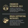 imagePurina Pro Plan Small Breed Dog Food With Probiotics for Dogs Shredded Blend Chicken ampamp Rice Formula  6 lb BagChicken