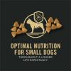 imagePurina Pro Plan Small Breed Dog Food With Probiotics for Dogs Shredded Blend Chicken ampamp Rice Formula  6 lb BagChicken