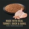 imagePurina Pro Plan Sport High Protein Dog Food Turkey Duck and Quail Entree Wet Dog Food  Pack of 12 13 Oz Cans13 Ounce Pack of 12