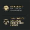 imagePurina Pro Plan Sport High Protein Puppy Food Chicken and Rice Entree Wet Formula  Pack of 12 13 oz Cans