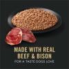imagePurina Pro Plan Sport High Protein Wet Dog Food Beef and Bison Entre  Pack of 12 13 oz Cans