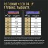 imagePurina Pro Plan Sport High Protein Wet Dog Food Beef and Bison Entre and Turkey Duck and Quail Entre Variety Pack  Pack of 12 13 oz Cans13 Ounce Pack of 12