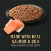 imagePurina Pro Plan Sport High Protein Wet Dog Food With Salmon and Cod  Pack of 12 13 oz Cans