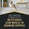 imagePurina Pro Plan Sport High Protein Wet Puppy Food Beef and Rice Entree and Chicken and Rice Entree Variety Pack  Pack of 12 13 oz Cans