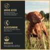 imagePurina Pro Plan Sport Performance 3020 Beef and Bison Formula Dry Dog Food  6 lb BagBeef  Bison