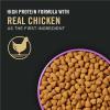 imagePurina Pro Plan Sport Performance 3020 Beef and Bison Formula Dry Dog Food  6 lb BagChicken  Rice