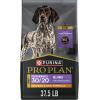 imagePurina Pro Plan Sport Performance 3020 Beef and Bison Formula Dry Dog Food  6 lb BagChicken  Rice