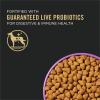 imagePurina Pro Plan Sport Performance 3020 Beef and Bison Formula Dry Dog Food  6 lb BagSalmon  Rice