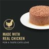 imagePurina Pro Plan Vital Systems Chicken Wet Cat Food Pate 4in1 brain kidney digestive and immune formula  Pack of 24 3 oz CansChicken