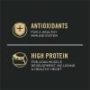 imagePurina Pro Plan Vital Systems Chicken and Egg Formula Kitten Dry Food 4in1 Immune Muscles Kidney and Brain and Vision  3 lb Bag