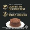 imagePurina Pro Plan Vital Systems Salmon Entree Wet Kitten Food 4in1 Muscles Brain Immune and Bone  Pack of 24 3 oz Cans