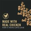 imagePurina Pro Plan Vital Systems Salmon and Egg Formula 4in1 Adult Dry Cat Food  5 lb BagChicken