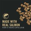 imagePurina Pro Plan Vital Systems Salmon and Egg Formula 4in1 Adult Dry Cat Food  5 lb BagSalmon