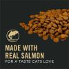 imagePurina Pro Plan Vital Systems Salmon and Rice Formula Senior Cat Food Dry 4in1 Formula  5 lb Bag5 Pound Pack of 1