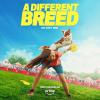 imagePurina Pro Plan Weight Management Dog Food Dry Shredded Blend Chicken and Rice Formula  18 lb BagChicken  Rice