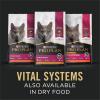 imagePurina Pro Plan Wet Cat Food Vital Systems Chicken Entree in Wet Cat Food Gravy 4in1 Immune Brain Muscle and Vision  Pack of 24 3 oz CansSeafood