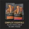 imagePurina Pro Plan Wet Dog Food Grain Free Complete Essentials Variety Pack Chicken and Carrots and Turkey and Sweet Potato Entrees  Pack of 12 13 oz Cans13 Ounce Pack of 12