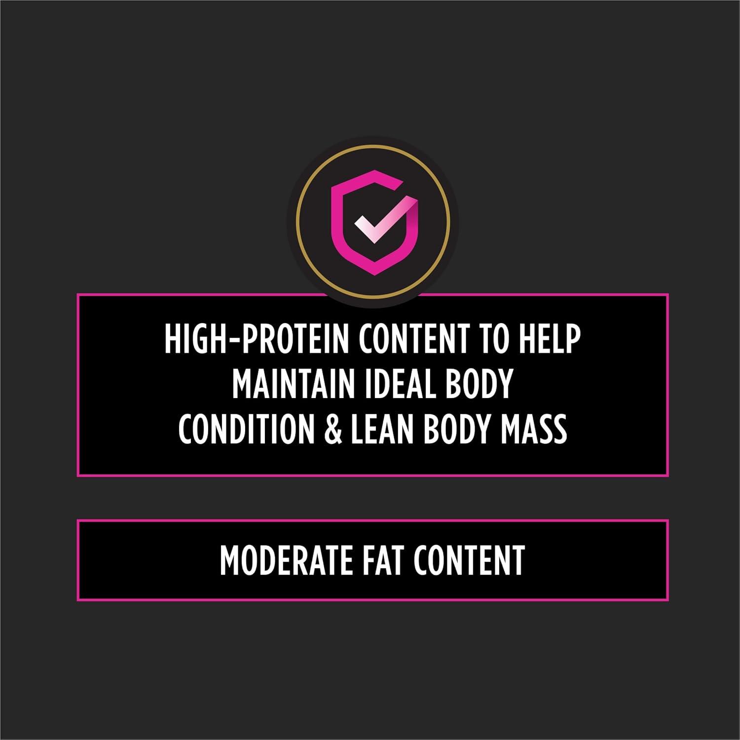 imagePurina Pro Plan Veterinary Diets UR Urinary StOx Feline Formula Dry Cat Food  6 lb Bag16 Pound Pack of 1