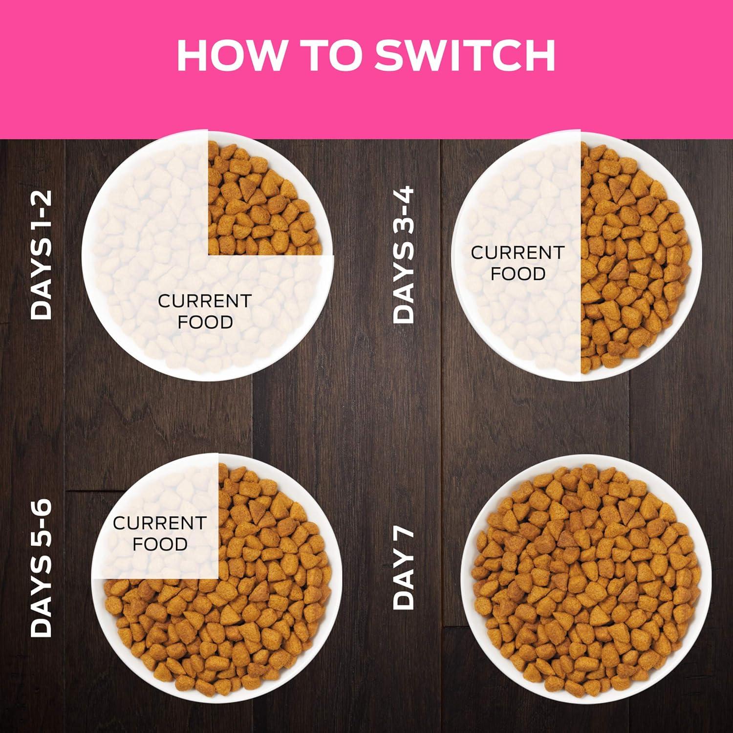 imagePurina Pro Plan Veterinary Diets UR Urinary StOx Feline Formula Dry Cat Food  6 lb Bag6 Pound Pack of 1