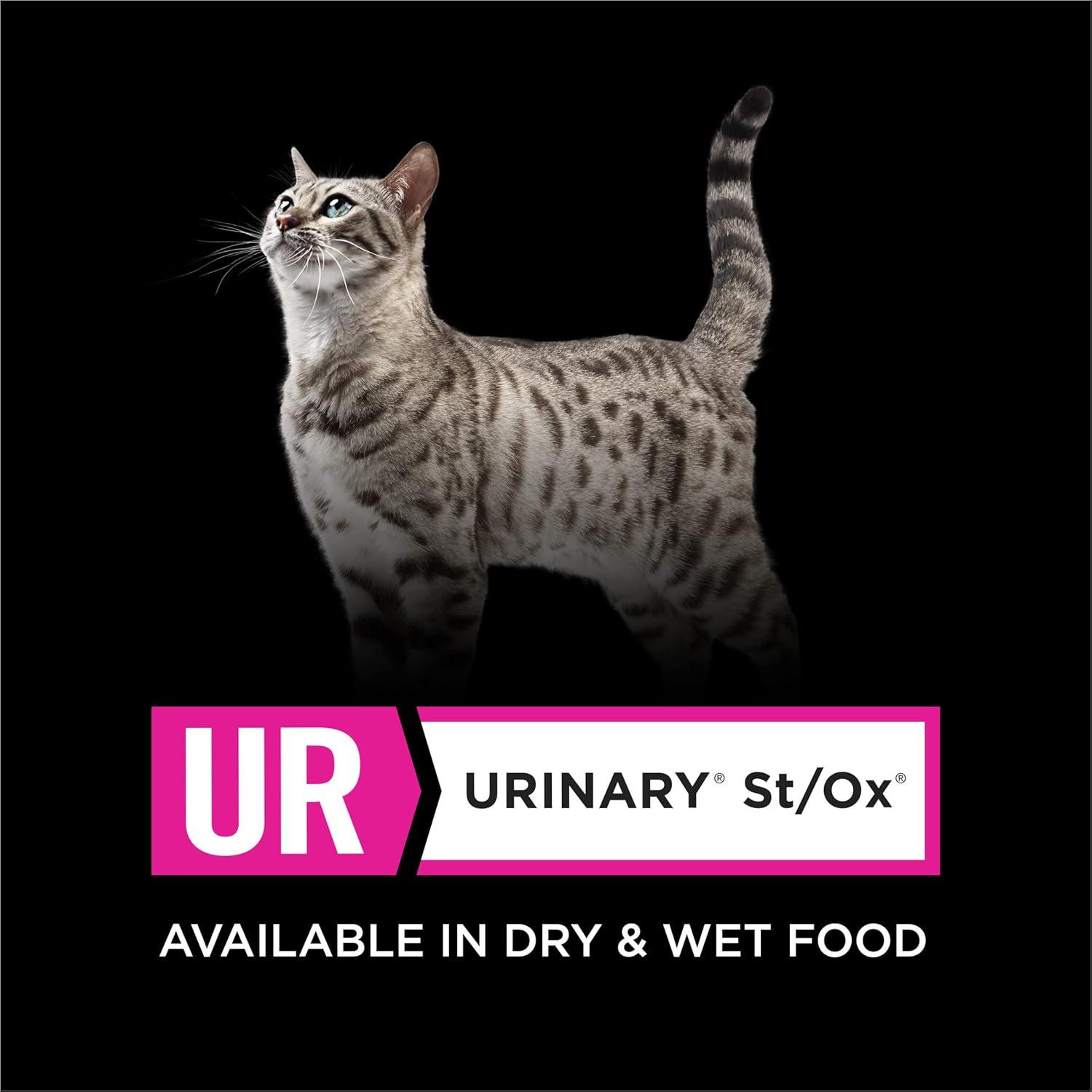 imagePurina Pro Plan Veterinary Diets UR Urinary StOx Savory Selects Feline Formula Salmon Recipe in Sauce Wet Cat Food  Pack of 24 55 oz CansSalmon SS