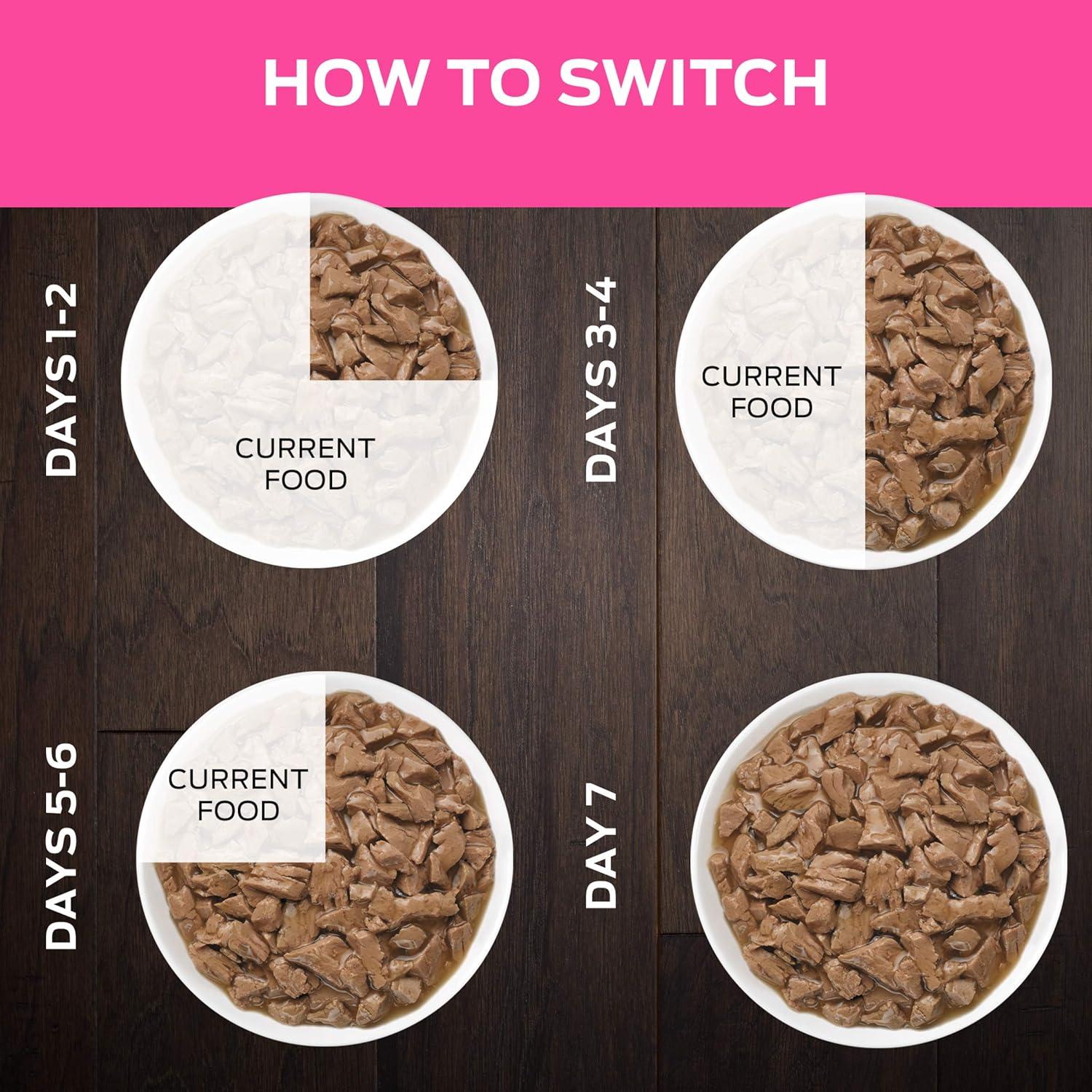 imagePurina Pro Plan Veterinary Diets UR Urinary StOx Savory Selects Feline Formula Salmon Recipe in Sauce Wet Cat Food  Pack of 24 55 oz CansTurkey SS