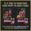 imagePurina Pro Plan Puppy Classic Wet Dog Food for Sensitive Stomach with Salmon and Rice  Pack of 12 12 ct Cans