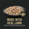 imagePurina Pro Plan Sensitive Skin and Stomach Lamb and Oat Meal Entree in Gravy Dog Food  13 oz Can