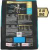 imagePurina Pro Plan AdvantEDGE Digestive Support Plus Salmon and Oat Meal Formula Adult Dry Dog Food  12 lb Bag