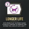 imagePurina Pro Plan AdvantEDGE Senior Support Plus Adult 7 Plus Chicken and Rice Formula Dry Cat Food  3 lb Bag