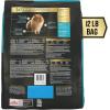 imagePurina Pro Plan AdvantEDGE Digestive Support Plus Small Breed Salmon and Oat Meal Formula Adult Dry Dog Food  12 lb BagSalmon  Oat Meal