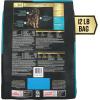 imagePurina Pro Plan AdvantEDGE Digestive Support Plus Large Breed Salmon and Oat Meal Formula Adult Dry Dog Food  22 lb BagSalmon  Oat Meal